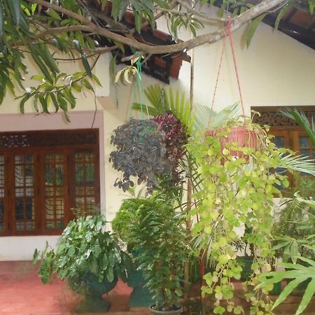 Ath Hala Safari Resort ウダワラウェ エクステリア 写真