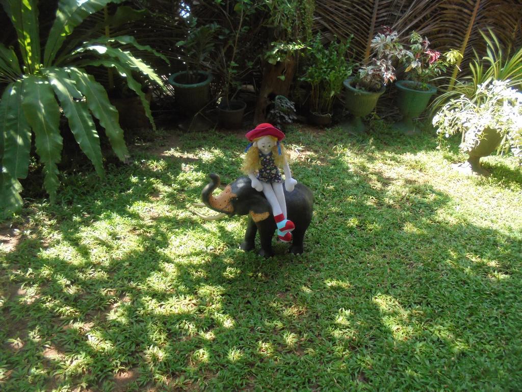 Ath Hala Safari Resort ウダワラウェ エクステリア 写真
